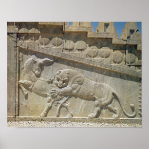 Lion fighting bull, relief east staircase poster