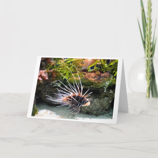 Lion fish holiday card (Front)