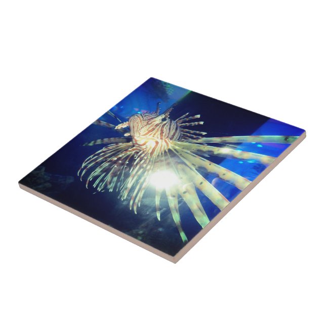 Lion fish tile (Side)