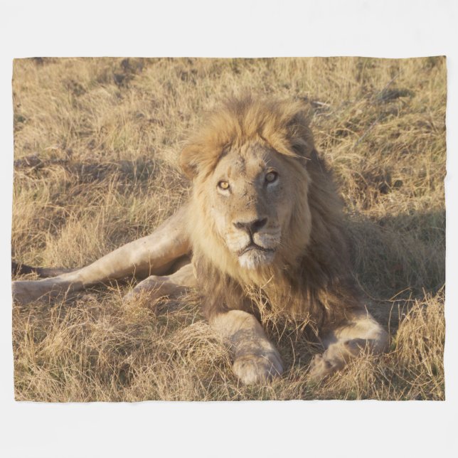 Lion fleece blanket (Front (Horizontal))