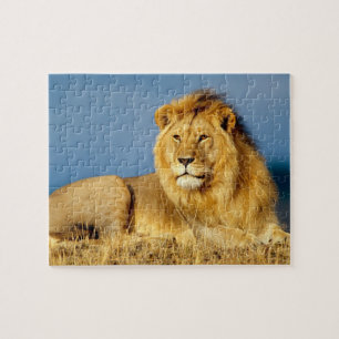 Lion Game Puzzle