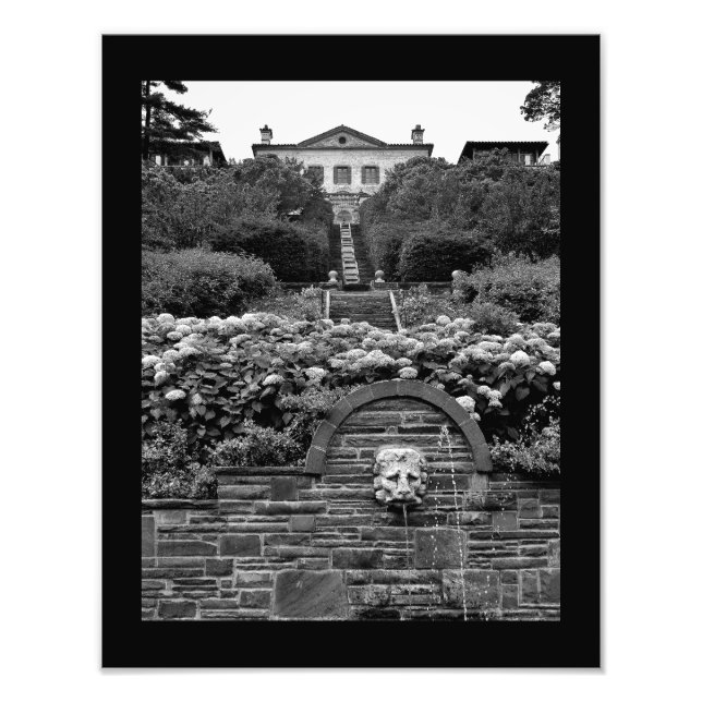 Lion Garden Photo Print (Front)