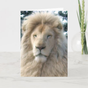 Lion Head 'Happy Birthday' card