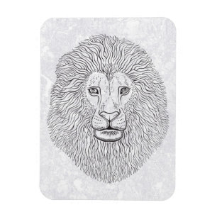 Lion head magnet