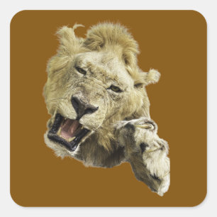 Lion head with paw forward with claws & mouth square sticker