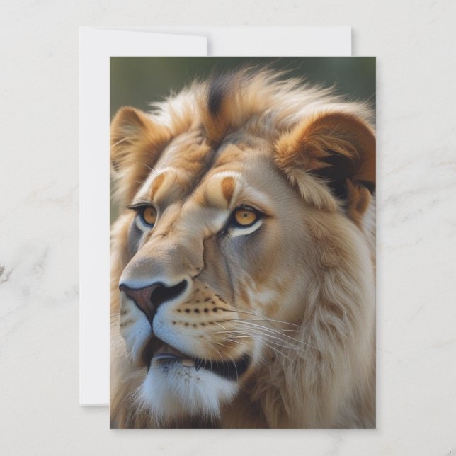 Lion Holiday Card (Front)