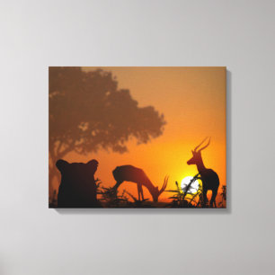 Lion Hunt Canvas Print