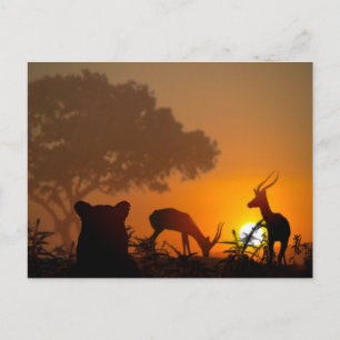 Lion Hunt Postcard