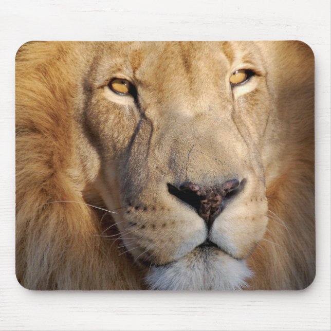 Lion Images Mouse Pad (Front)