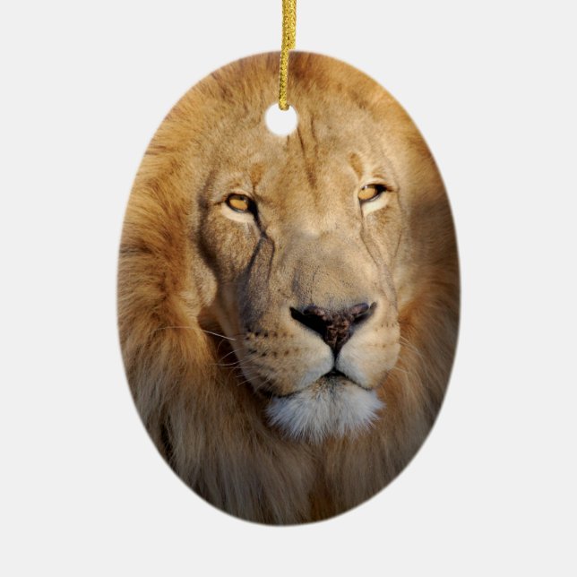 Lion Images Ornament (Front)