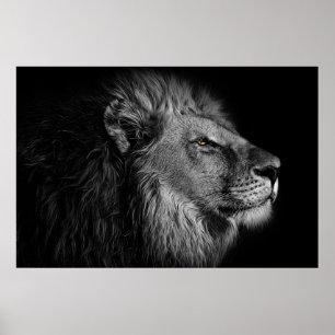 Lion in black and white poster