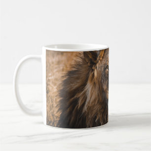 LION IN ETOSHA NATIONAL PARK COFFEE MUG