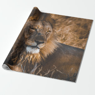 LION IN ETOSHA NATIONAL PARK WRAPPING PAPER