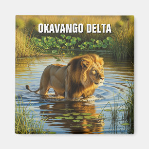 Lion in Okavango Delta Botswana Magnet