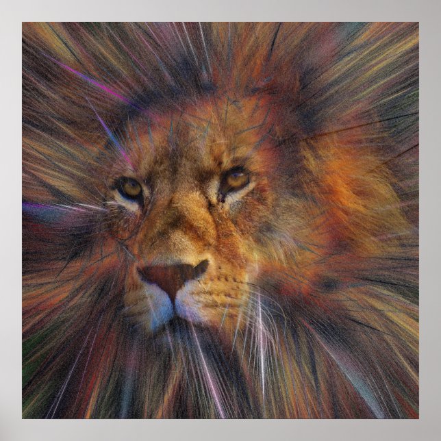 Lion in the Gallery Poster (Front)