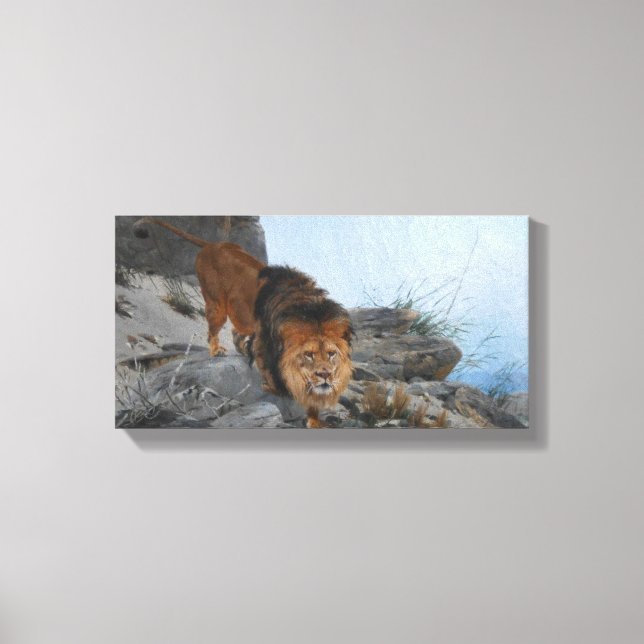 Lion in the Mountains (by Richard Friese) Canvas Print (Front)