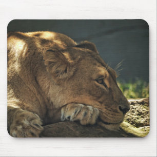 Lion in the Shade Mousepad