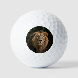 Lion in the Shadows Golf Balls