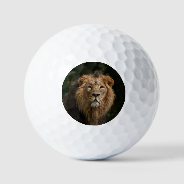 Lion in the Shadows Golf Balls (Front)