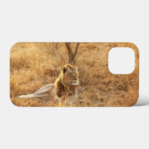 Lion iPhone 13 Mini Case