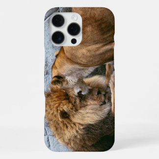 Lion iPhone 16 Pro Max Case