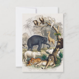 LION JUNGLE BEAR ELEPHANT TIGER RSVP CARD