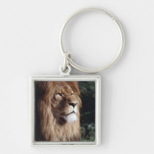 lion key ring