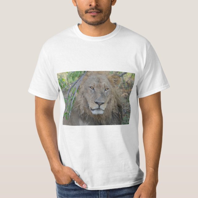 Lion King Focused T-Shirt (Front)