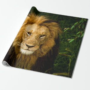 LION KING IN THE JUNGLE WRAPPING PAPER