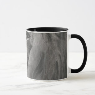Lion King Mug