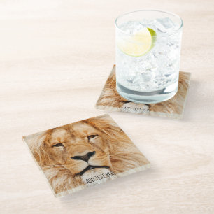 Lion, King of Africa Glass Coaster