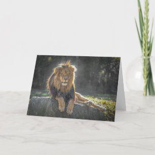Lion King of the Jungle Card