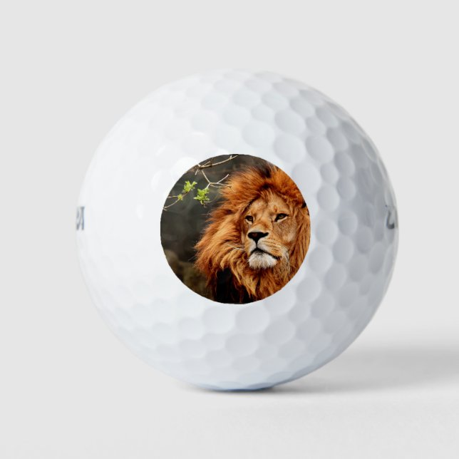 Lion, King of the Jungle Golf Balls (Front)
