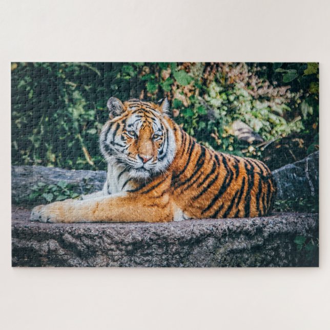 Lion King of the Jungle Jigsaw Puzzle (Horizontal)