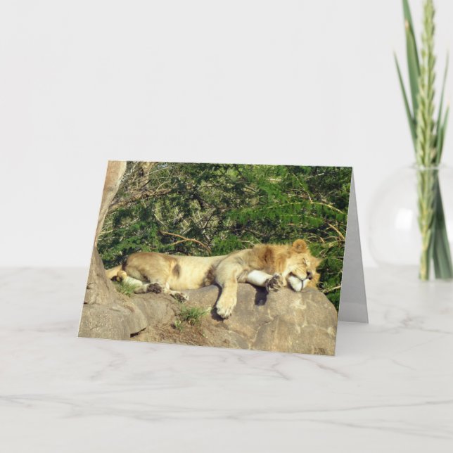 Lion - King of the Jungle - Relaxing Card (Front)