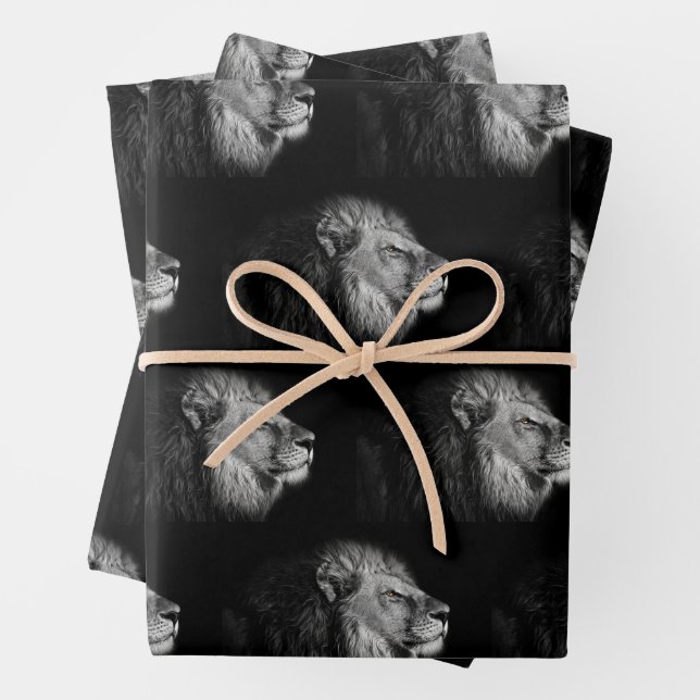 Lion King of the Jungle Wrapping Paper (In situ)