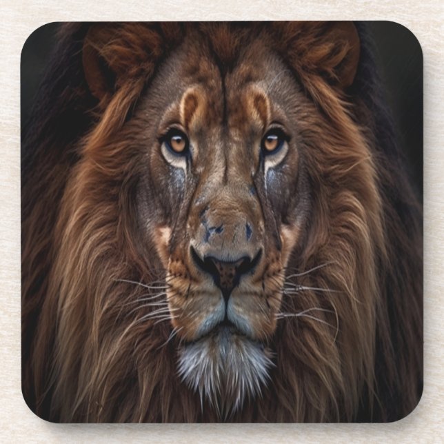 Lion King with a serious expression Coaster (Front)