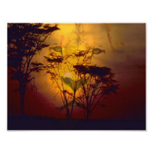 Lion Looking Over African Sunset Photo Print