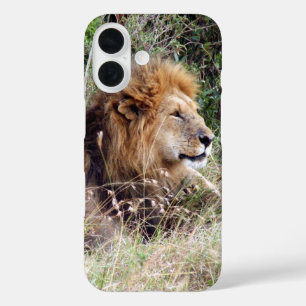 lion looks iPhone 16 case