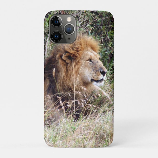 lion looks Case-Mate iPhone case (Back)