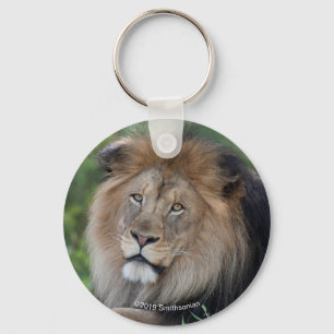 Lion Lounging in a Forest Key Ring