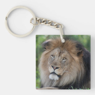 Lion Lounging in a Forest Key Ring