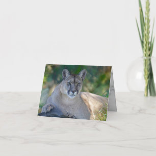 Lion Love Card