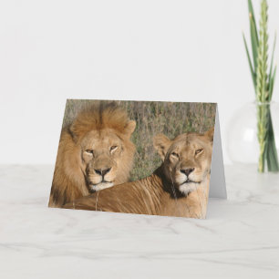 Lion Love Card