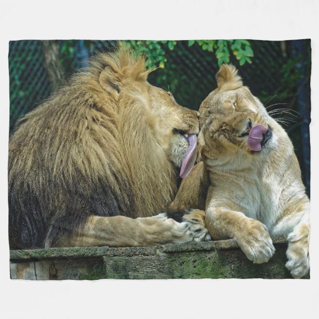 LION LOVE FLEECE BLANKET (Front (Horizontal))