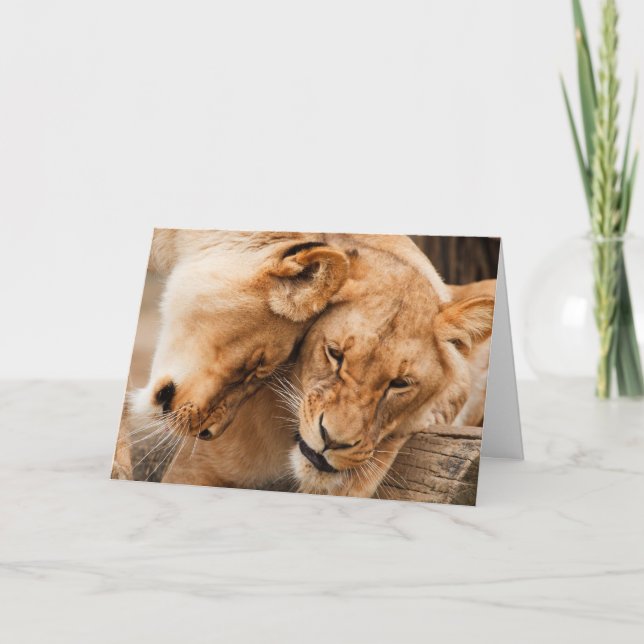 lion love greeting card (Front)