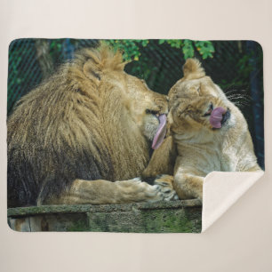 LION LOVE SHERPA BLANKET