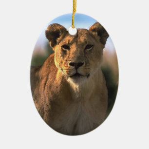 Lion Lovers Christmas Ornament