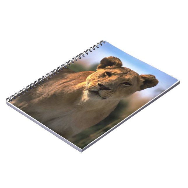 Lion Lovers Female Lioness Notebook (Left Side)