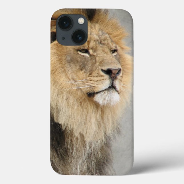 Lion Lovers King of the Jungle Case-Mate iPhone Case (Back)